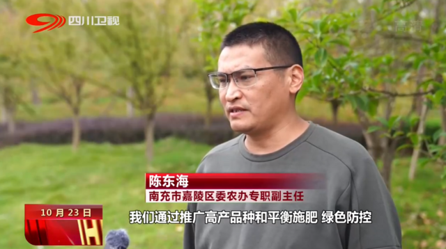 南充市嘉陵区委农办专职副主任 陈东海:我们通过推广