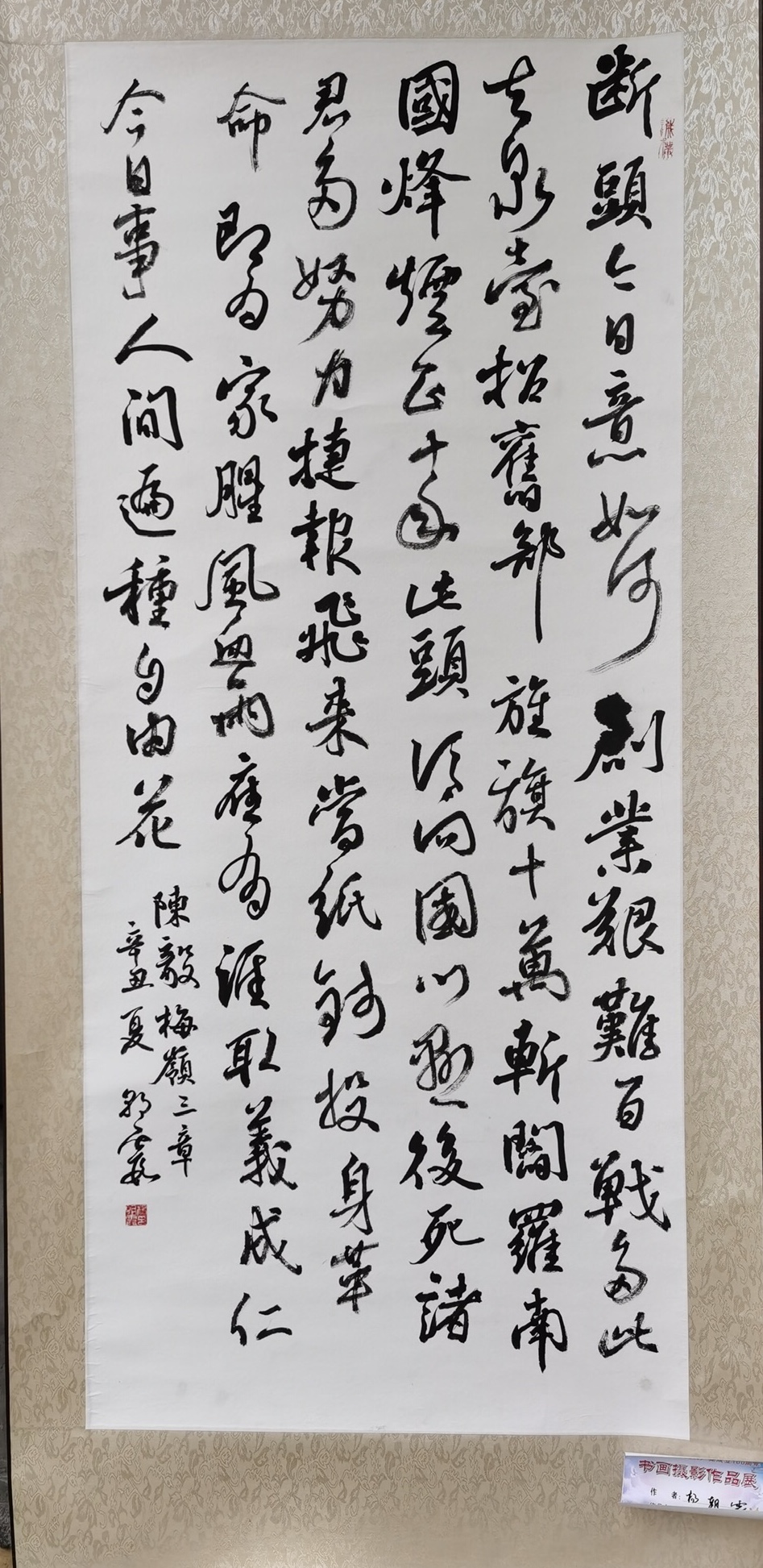 二等奖、杨朝霞  书法.JPG