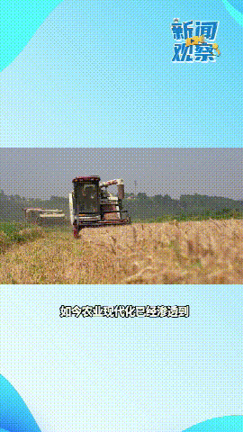 新闻观察 (1) (1).gif