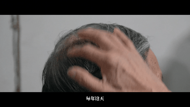 tutieshi_640x360_8s.gif