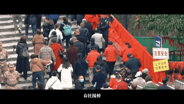 tutieshi_640x360_16s.gif