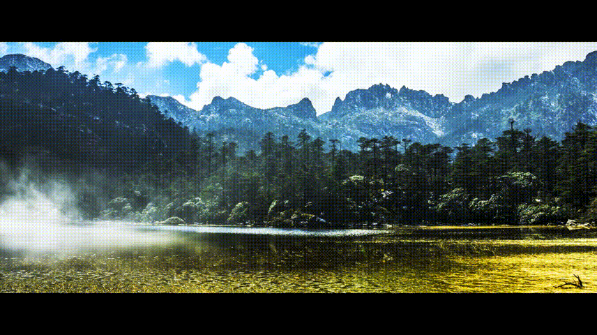 705a45d5-04fa-4a4e-85bc-3c0c898cf185