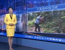 莲花镇：党员干部下基层  助力森林防灭火工作