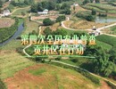 第四次全国农业普查  贡井区在行动！