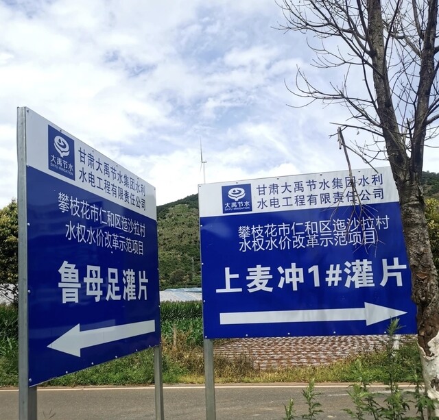 插入的图片