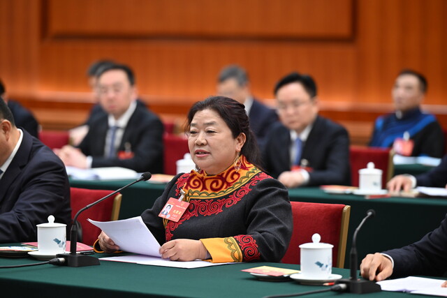 王永兰在今年全国两会四川代表团全体会议上分享独树村的“共富经”。