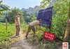 戎耀蓆草田：老兵化身治理先锋 件件实事暖透街坊