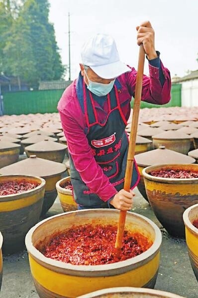 成都市富友绿色调味品有限公司内，工人在翻晒豆瓣。 杨柳 摄