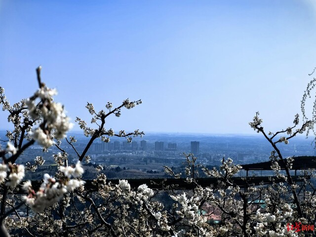 ▲樱桃沟景区