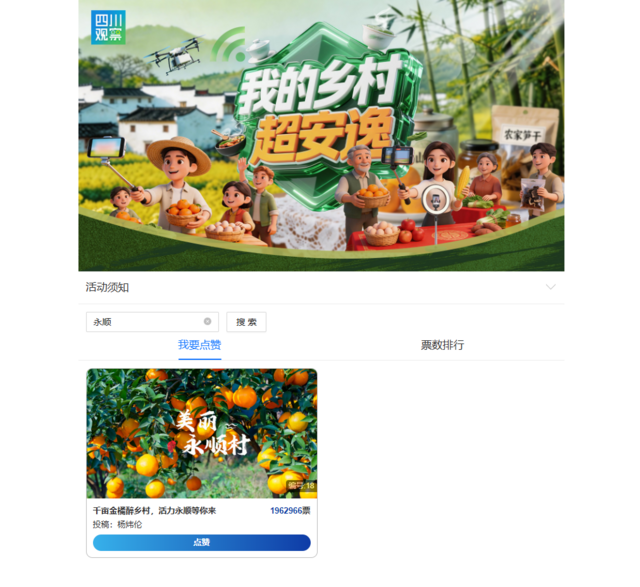 投票截图