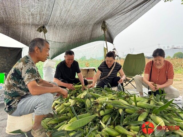 微信图片_20260618105342.jpg