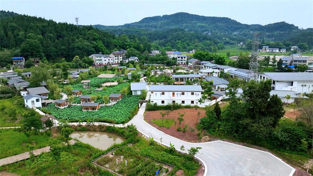 渠县拾光小筑.jpg