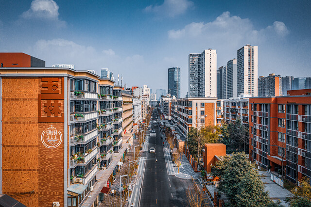 玉林东路（武侯区委宣传部供图）_副本.jpg