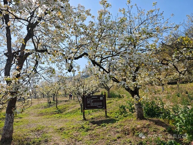 设为缩略图设为缩略图 (7).jpg