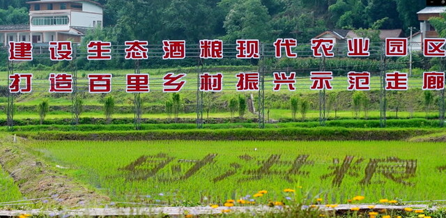 90.jpg