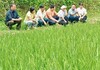莲花镇：田间“把脉”护秧苗，农机“加持”稳粮丰