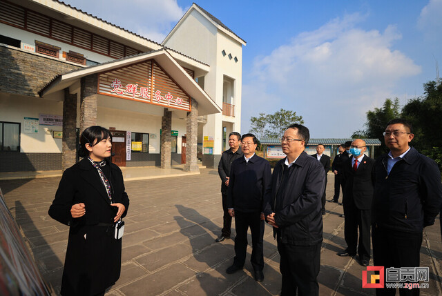 王树江调研苏坝村