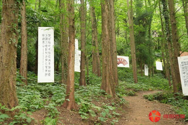 微信图片_20260519101136_813_170.jpg