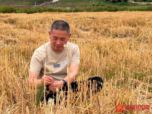 杨俊富称自己是“乡村的一只小小鸟”。.jpg