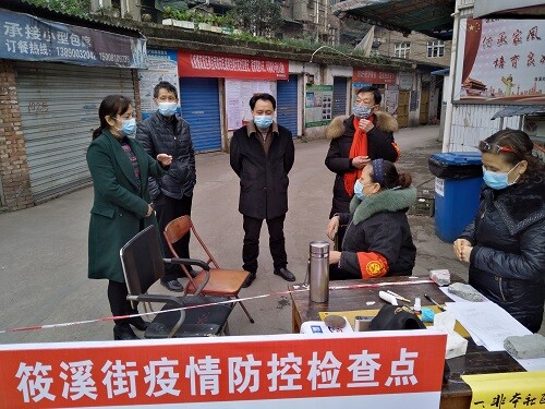 杨虹.jpg
