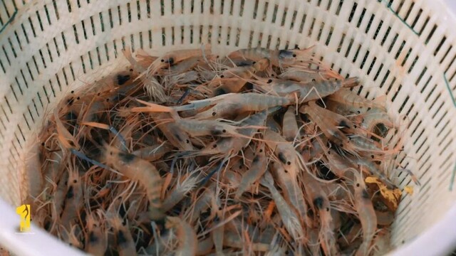 正片.mp4_20260810_222926.937.jpg