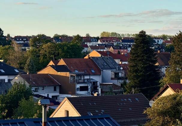 IMG_258