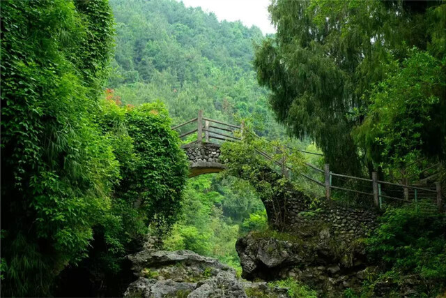 渠县賨人谷旅游景区.jpg