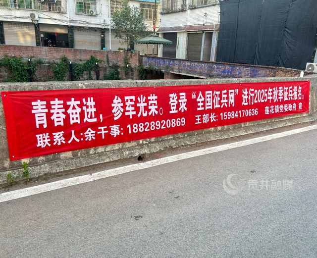 莲花镇开展“乡镇征兵  邀你同行”宣传活动.png
