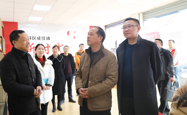 调研成佳镇新时代文明实践所建设情况