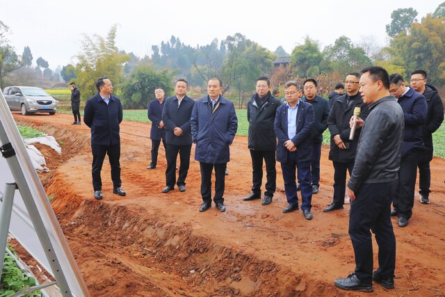 ▲五宝镇照石村万亩“马铃薯+花生”产业核心示范区建设现场