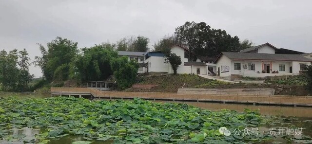 ▶成佳镇杨柳村农家小院