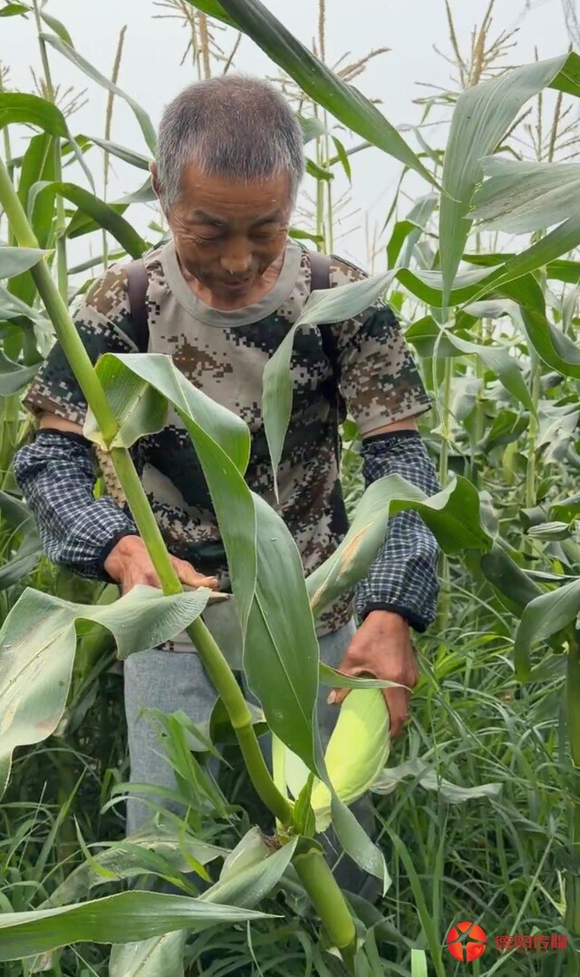 微信图片_20260618105322.jpg