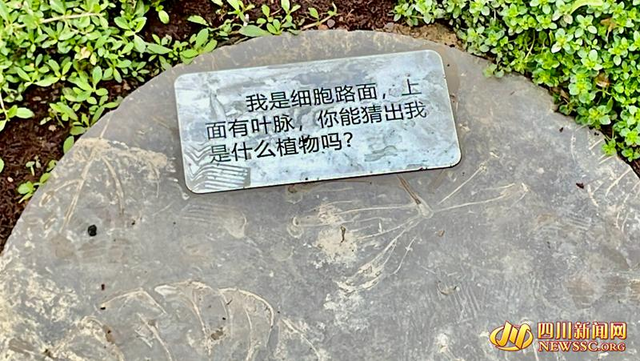 石板上的标语牌_副本.jpg