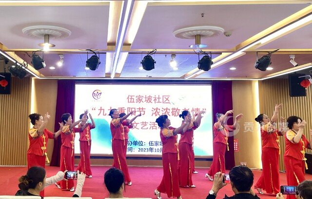 筱溪街道伍家坡社区重阳活动 (1).JPG