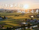沃野藏风物·潮玩上贡井——贡仔“西”游记