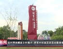 自贡新闻｜驻村帮扶赋能乡村振兴 将军村绘就宜居宜业新画卷