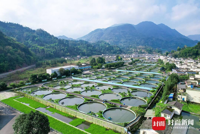 润兆渔业鱼子酱在雅安的生产基地