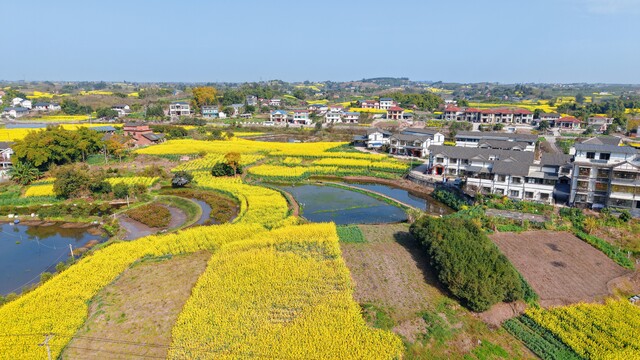 增产村 (2).JPG