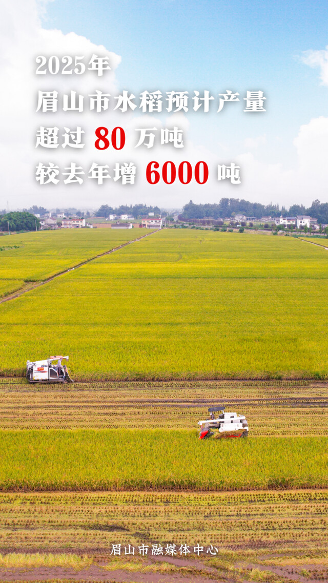 2025上半年GDP 副本.png