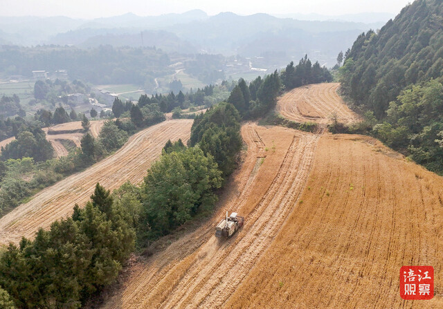 河南麦客2_1.jpg