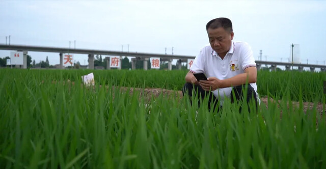 捕获(1).png