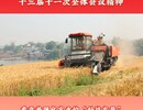 【全会精神落地贡井②】看贡井现代农业的 “科技变量”