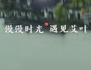 漫漫时光  遇见艾叶