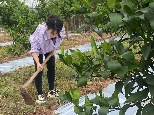 微信图片_20250306101924.jpg