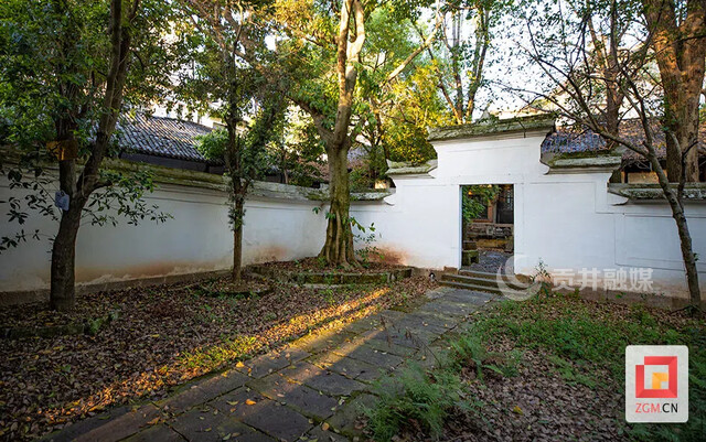3院内白墙灰瓦，绿植相伴.jpg
