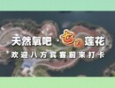 【沃野藏风物·潮玩上贡井⑥】莲花镇