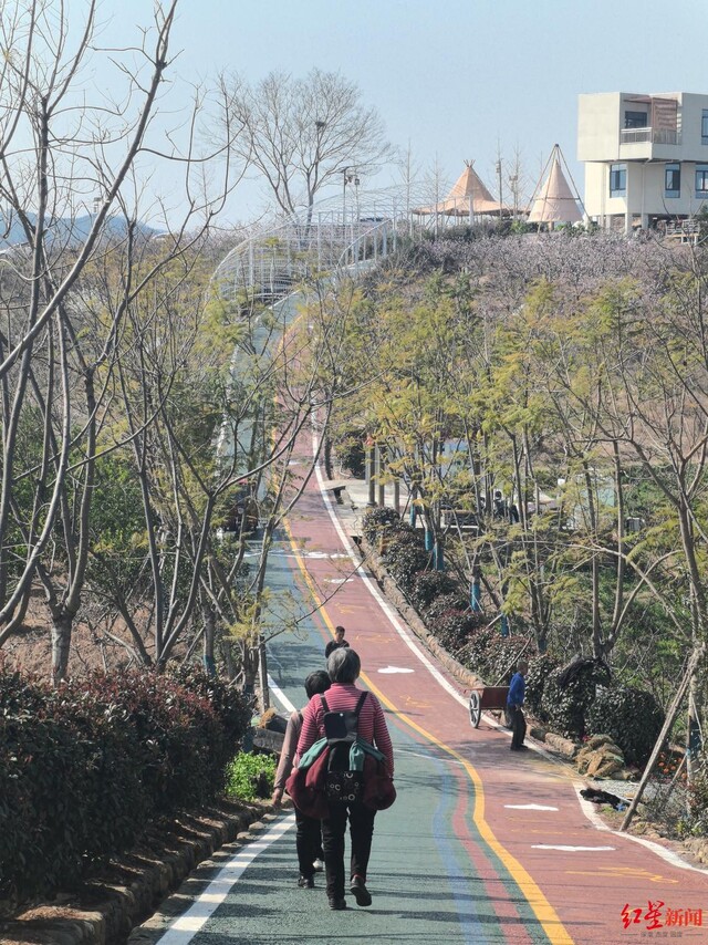 ▲金渔桃缘景区