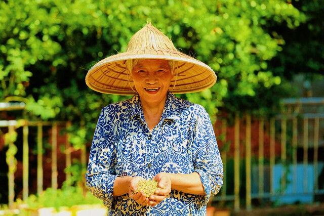 在五宝镇大同村3组村民邓春容家门前，记者看到她正在翻晒刚刚从稻田收割回家的稻谷，满眼都是欣喜。