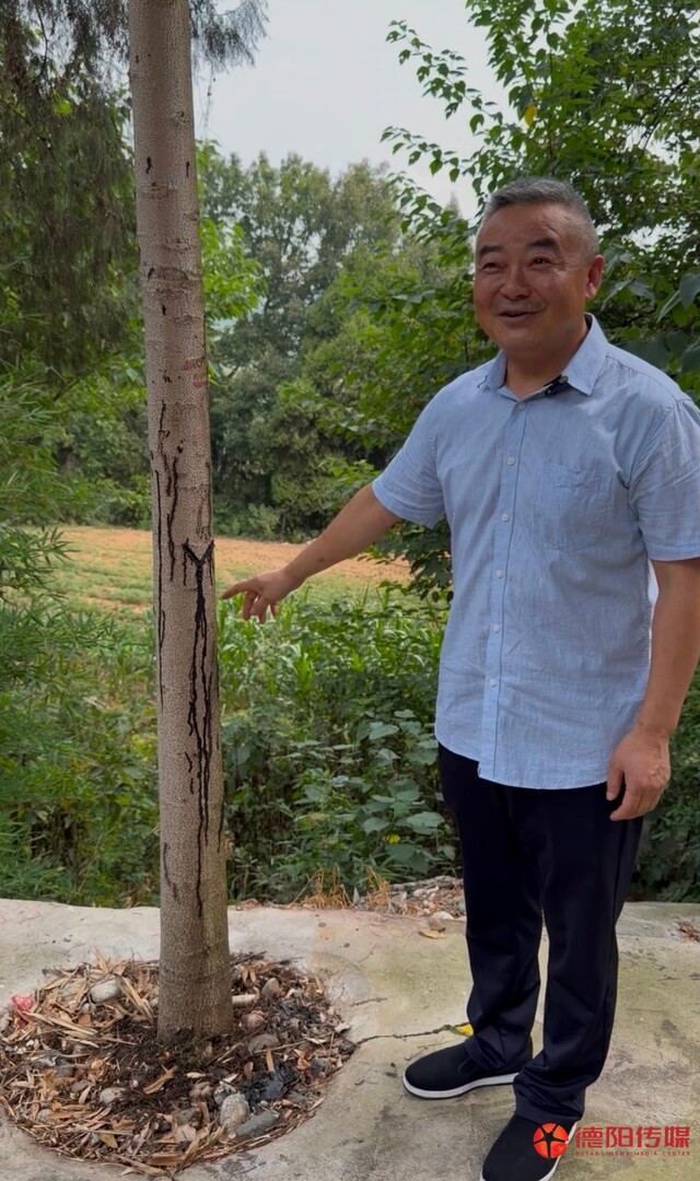 微信图片_20260730104559_1123_170.jpg