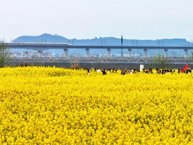 副本昔日撂荒地焕发新生 复耕耕地成新景点381.png